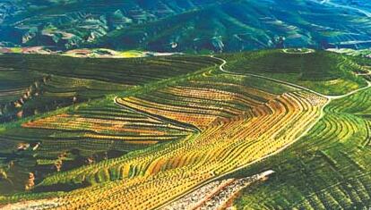 林地草地面积明显增加 甘肃生态保护建设成效显著