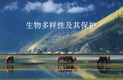 中国在生物多样性保护国际合作中发挥重要作用