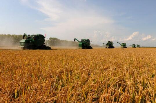 黑龙江省秋收过半 秋整地面积近2000万亩