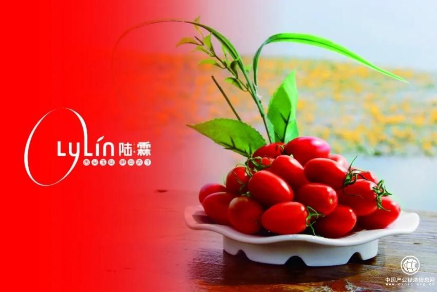 陆霖数字科技：一颗小番茄，品味大不同