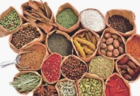 湖南加速湘药出海 推动中药材产业国际化