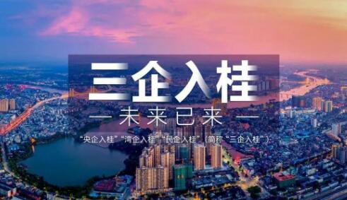 广西“三企入桂”项目行动亮出成绩单