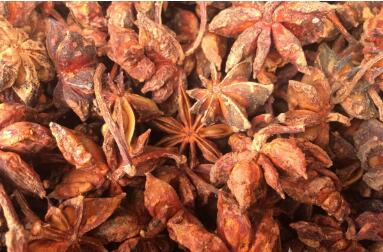 广西玉林打造辐射东盟的香料产业集群