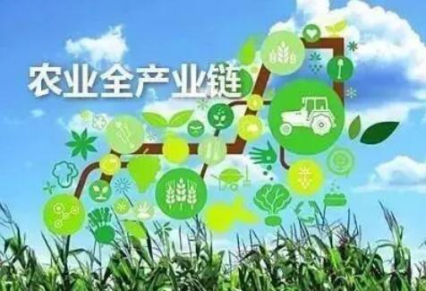 江西深化农业产业链建设 加强龙头企业带动作用