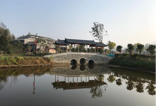 湖北省罗田县付家庙村：产业发展助力乡村振兴