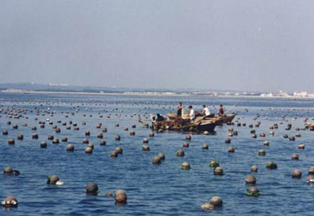 海洋经济成山东经济新增长极 第三产比重达57.9%