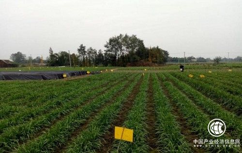 1636448628501198.png 图片2.png