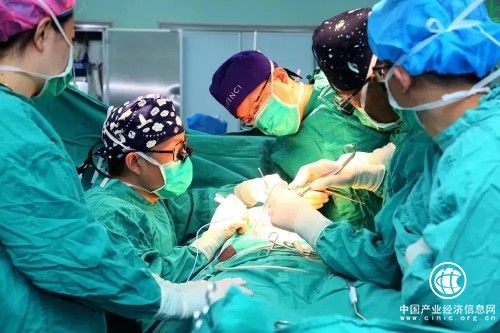 药明奥测案例|AI+PGx 整合诊断模型，数据算法助力“换心手术”患者精准用药