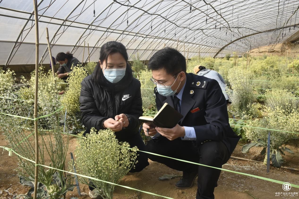 邢台任泽区税务局精细服务助力京津冀协同发展