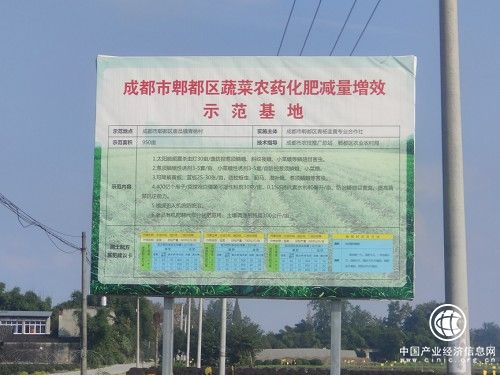 青杨韭黄：发展生态品牌农业，激发乡村振兴内在动力