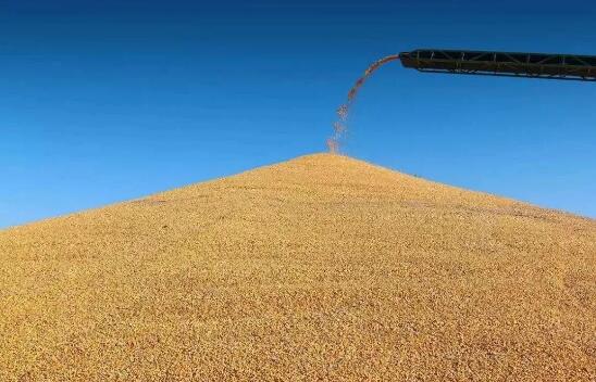 10月中国进口粮食968万吨 同比降低25.2%