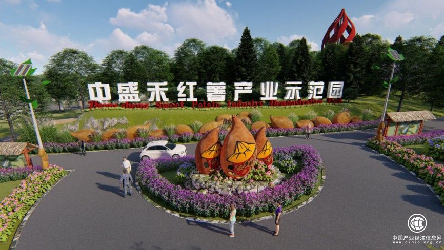 这个冬天 “薯”你最甜