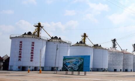 “十四五”时期我国将新增高标准粮仓仓容2000万吨