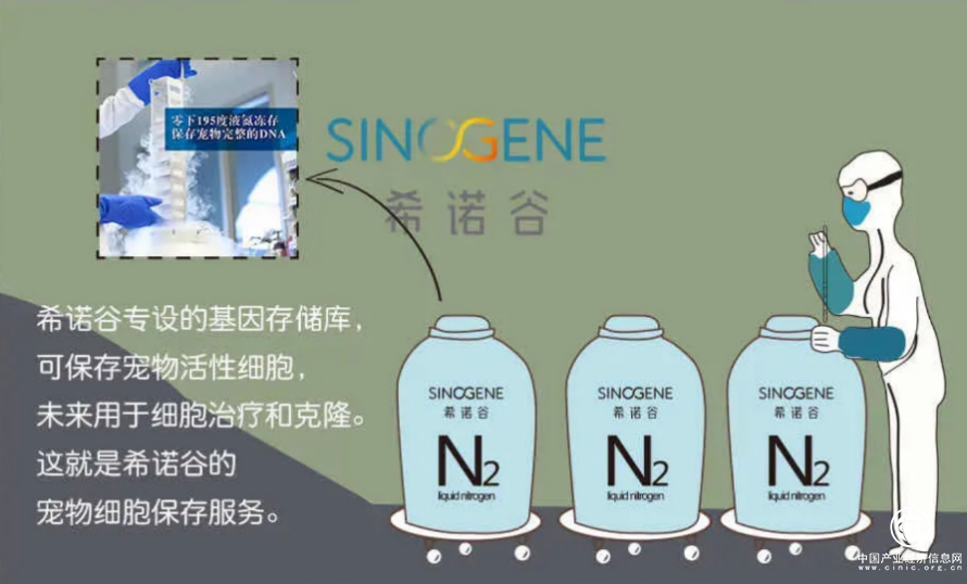 希诺谷：放弃的一个生命原因，答案好笑到残忍