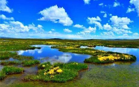 《青海省“十四五”生态环境保护规划》正式印发