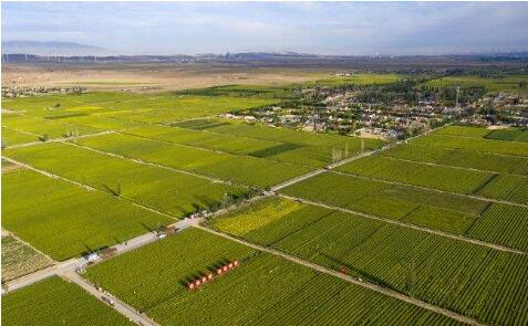 宁夏着力打造国家现代高效节水农业示范区