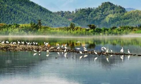 生态环境部有关负责同志就《河湖生态缓冲带保护修复技术指南》答记者问