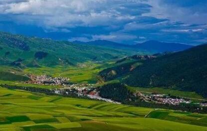 青海省首次编制乡村产业发展规划