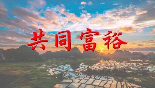 国家发改委：制定出台促进共同富裕行动纲要