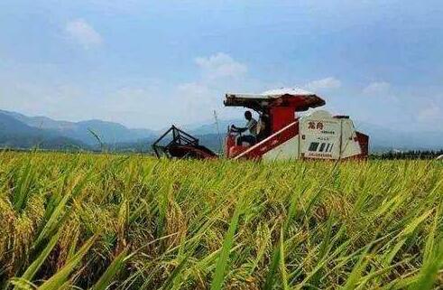 确保春耕生产有序推进 四川省下达168亿元农业补助资金