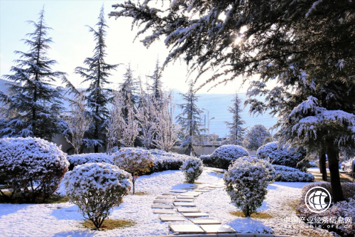 宣威复烤厂：执“绿”为笔，绘就生态画卷