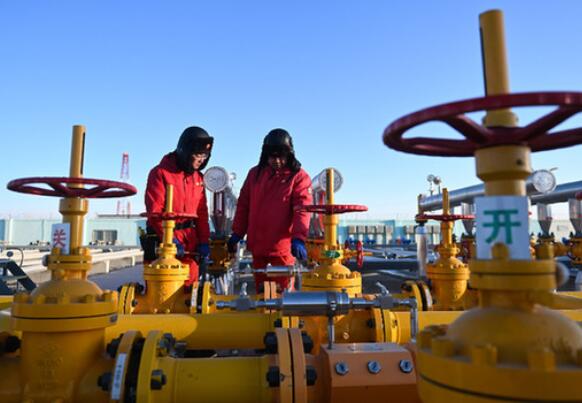 政策工具丰富 保供稳价有力——代表委员和业界人士热议应对供给冲击