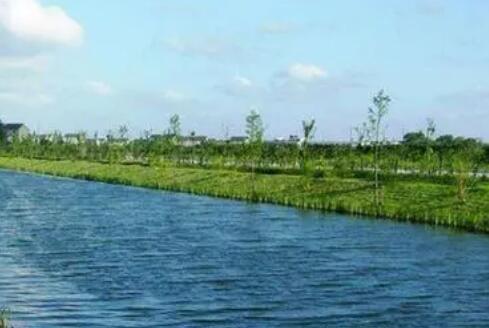 河北：十项举措提升河湖保护治理水平