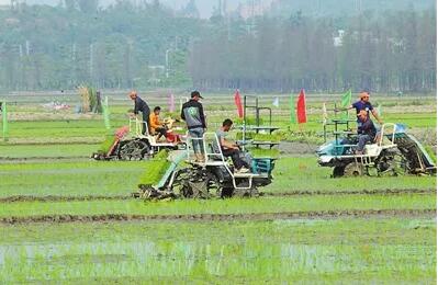 更优质、更智慧、更绿色 新动能助春耕 保供给促丰收