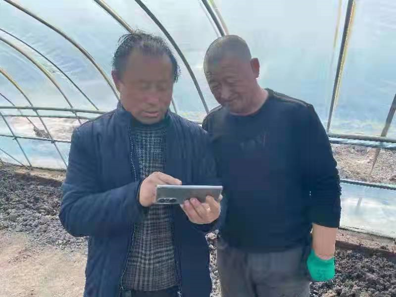 黑龙江北大荒七星分公司线上科技培训 架起富农新桥梁