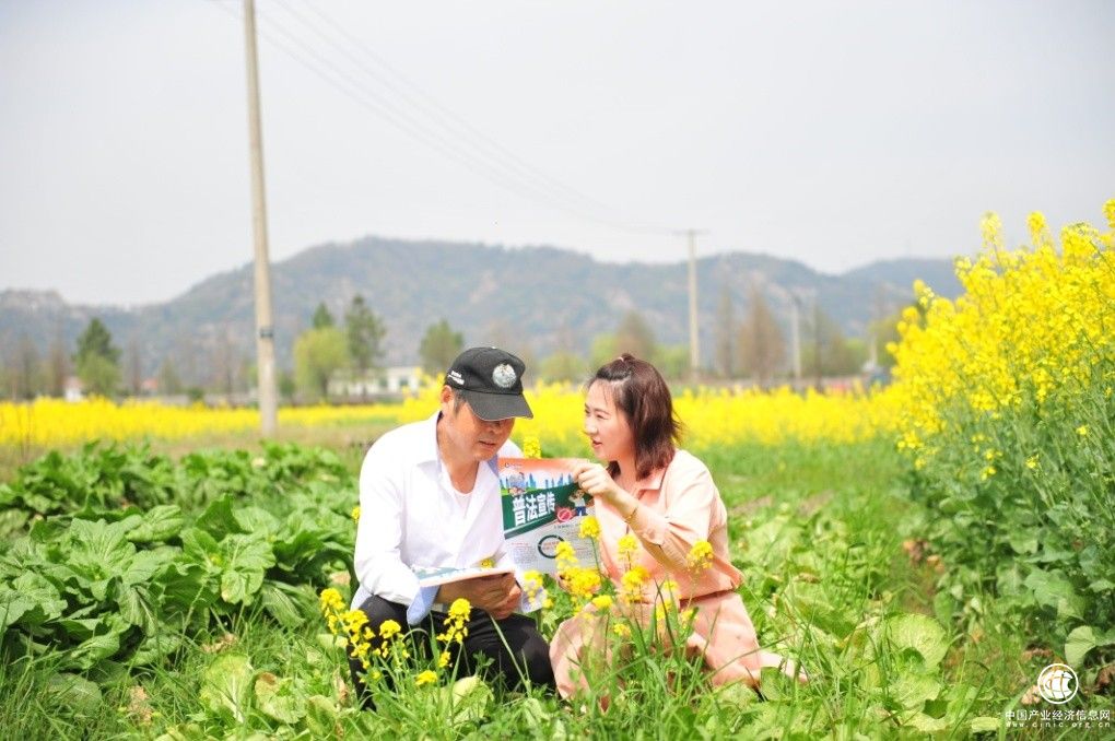  浙江余姚：巧用“三色笔” 绘就“我为群众办实事”锦绣图