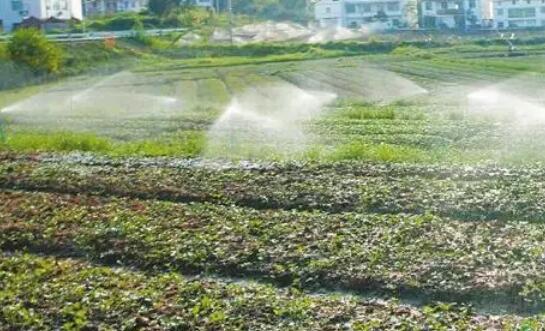 四川省“十四五”将新增高效节水灌面221万亩