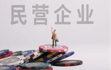 四川推进民营企业雁阵培育计划促进经济发展