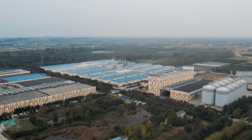 维维股份火速驰援睢宁，助力抗疫保供攻坚战