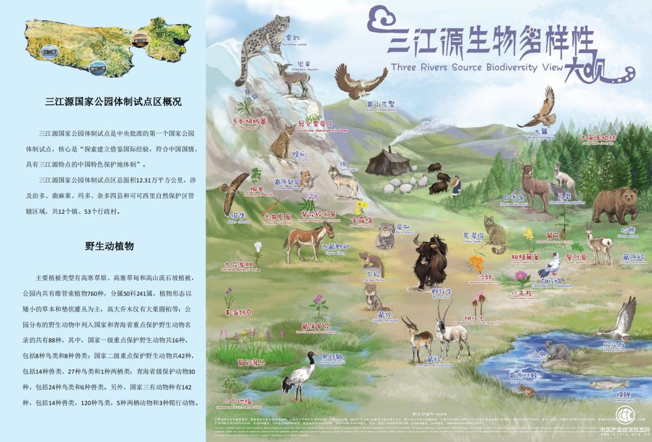  成实外繁懋教育多校公益联动，为可可西里建一所藏羚羊“幼儿园”