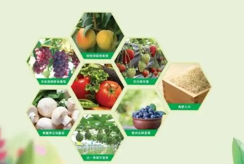 广西：推动绿色食品产业高质量发展