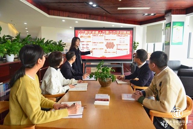  浙江乐清：踏浪前行 逐梦青春 激扬奋进“青力量”