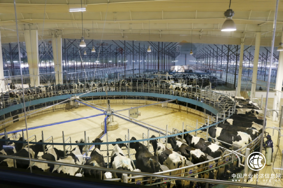  从领先到颠覆，君乐宝奶粉“三连发”背后的大布局