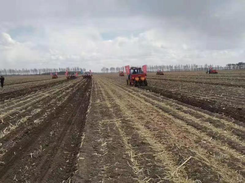 黑龙江省富裕县推进黑土地保护性耕作免耕播种
