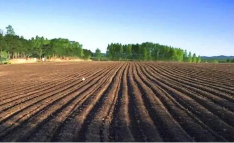 内蒙古完成黑土地保护性耕作1440.4万亩  超额完成国家任务