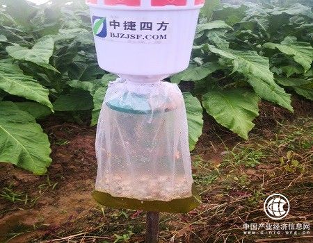  湖南安仁：多路奇兵灭虫害 农药减量不减效