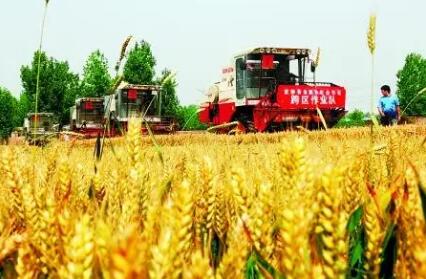 全国供销合作社系统创新服务“三夏”生产