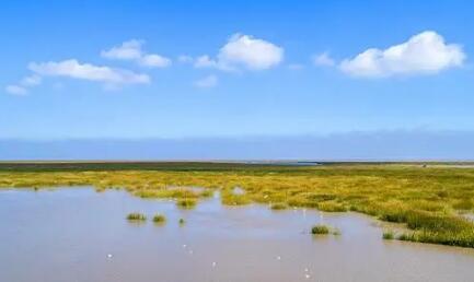 中国七城市荣获第二批国际湿地城市称号