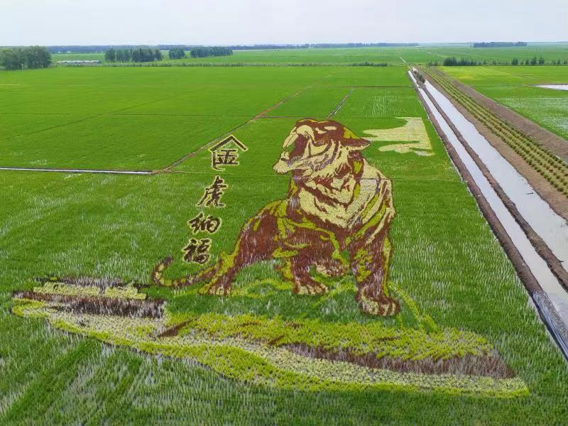 20220705105730279.png 20220705105730279.png