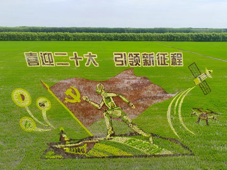 北大荒农业股份七星分公司巨幅稻田画献礼建党101周年
