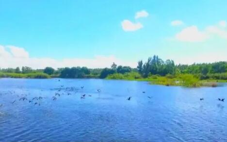 海南明确生态保护红线准入管理目录 8月1日起施行