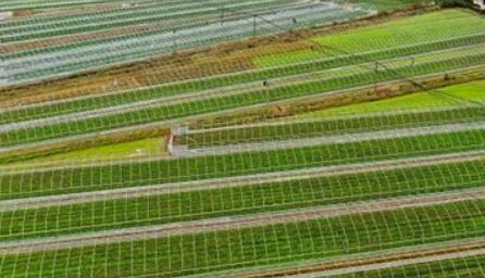 四川省农业园区“数字化”有标准了