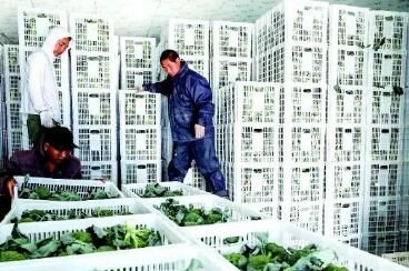 四川大力推进农产品产地冷藏保鲜设施建设