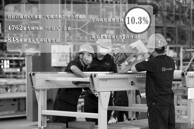 韧性强动力足 “专精特新”企业发展稳中向好