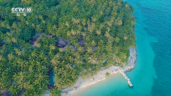 央视十套《味道》海南定安篇即将播出 寻找家常食材最美模样