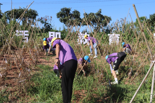 重庆化工职业学院·青春三下乡——星火燃烧，化漫漫征途为青春行歌